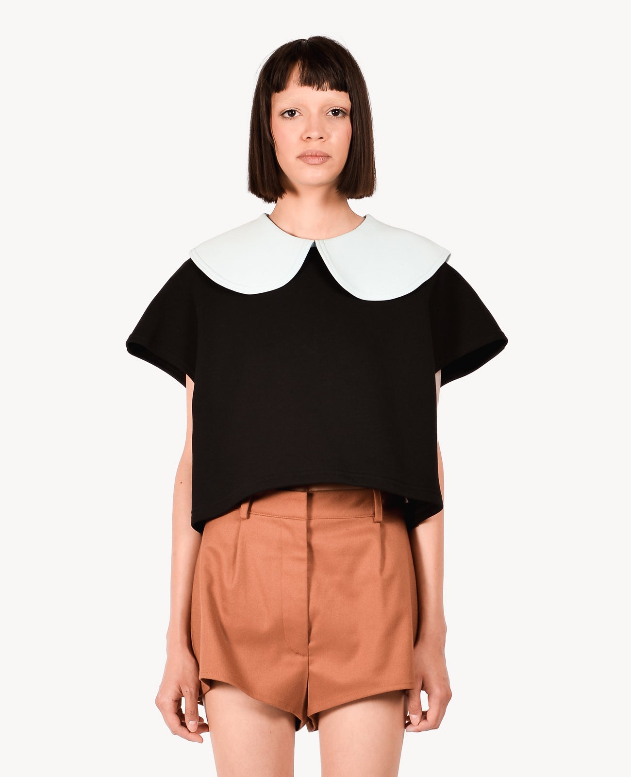 Black Orchid Top