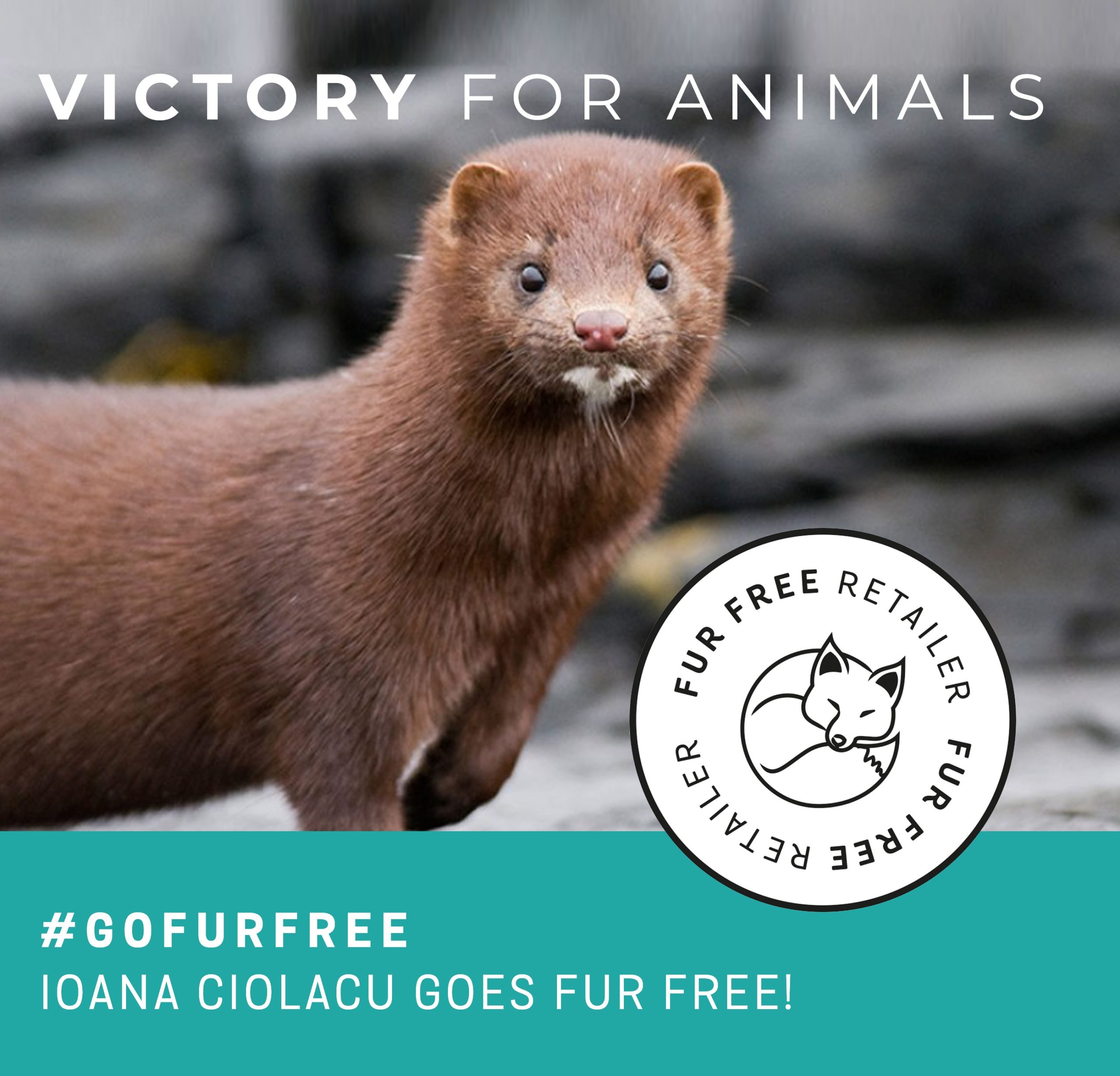 The first Romanian brand joining Fur Free Retailer
